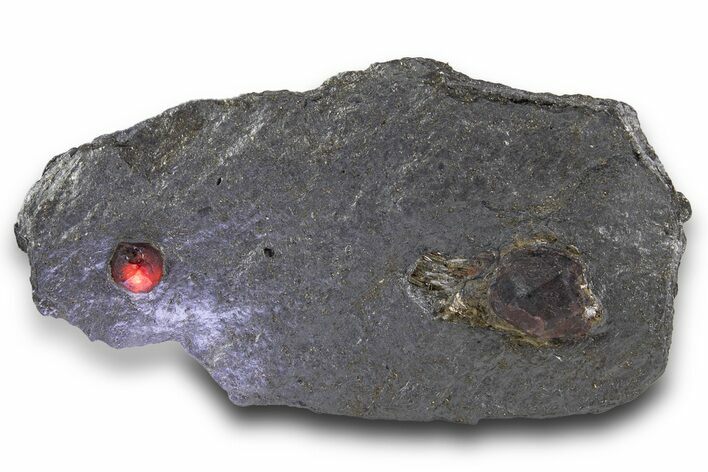 Plate of Two Red Embers Garnets in Graphite - Massachusetts #301166